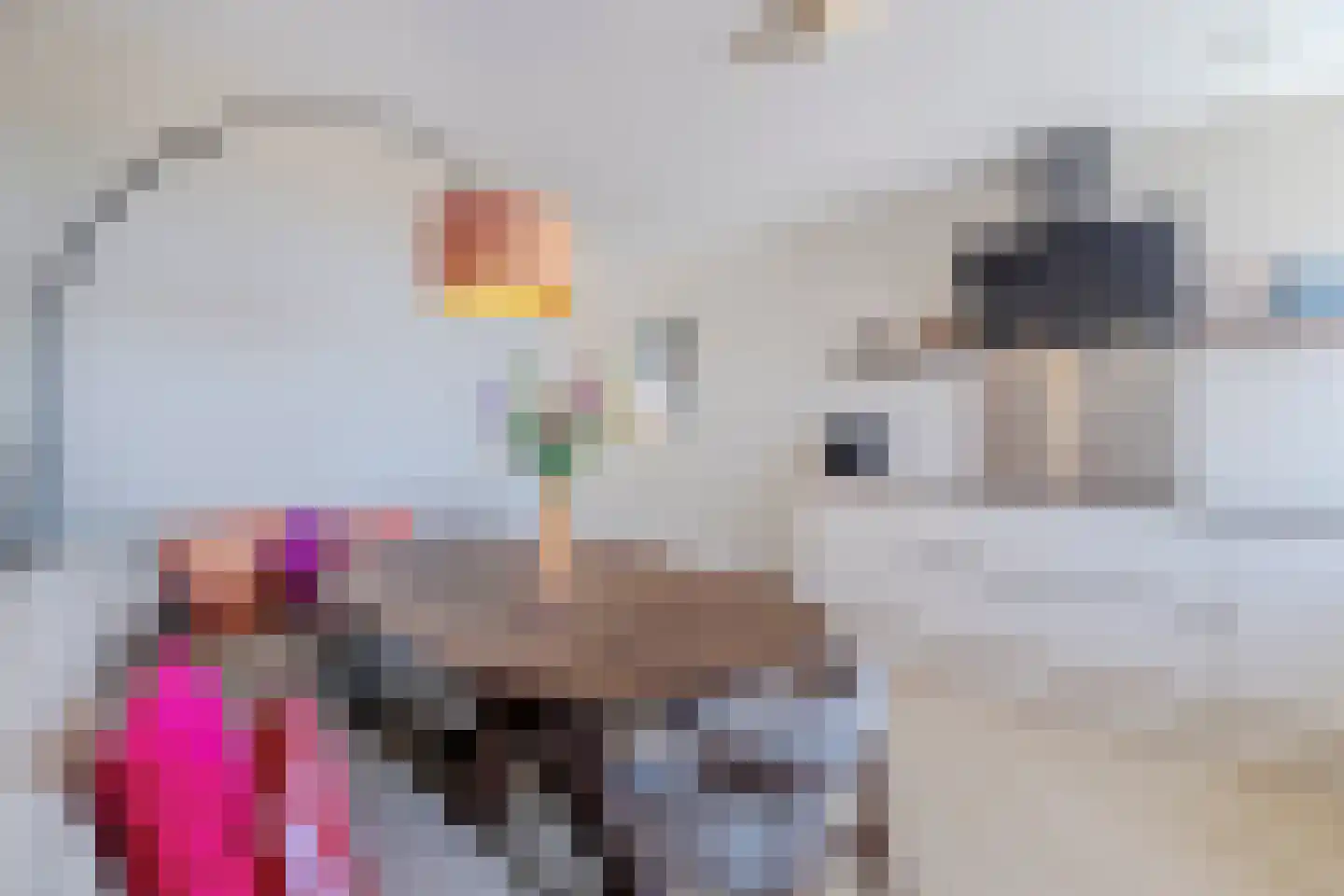J.H. Kielastraat 27 Driebruggen thumbnail 22
