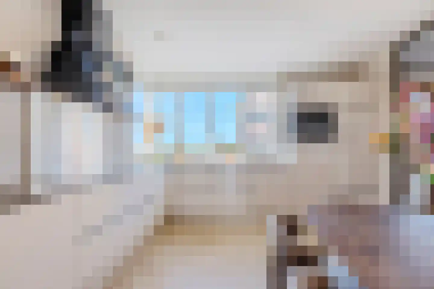 J.H. Kielastraat 27 Driebruggen thumbnail 24
