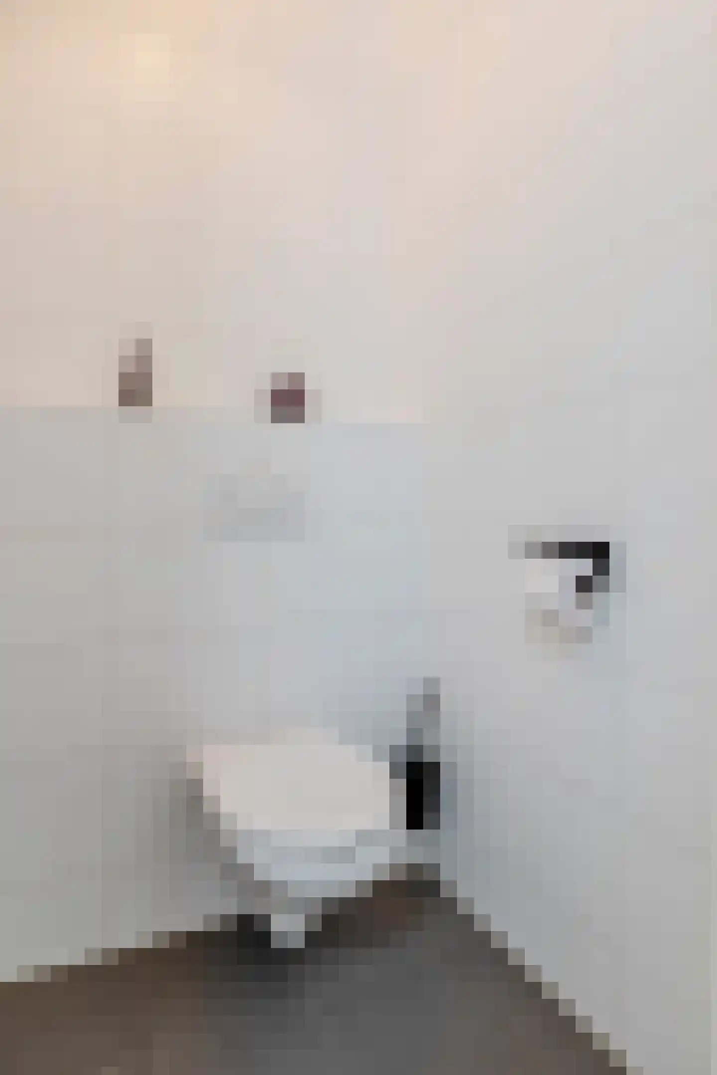 J.H. Kielastraat 27 Driebruggen thumbnail 30