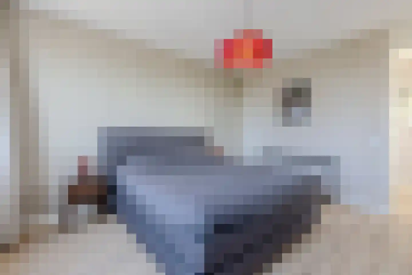 J.H. Kielastraat 27 Driebruggen thumbnail 32