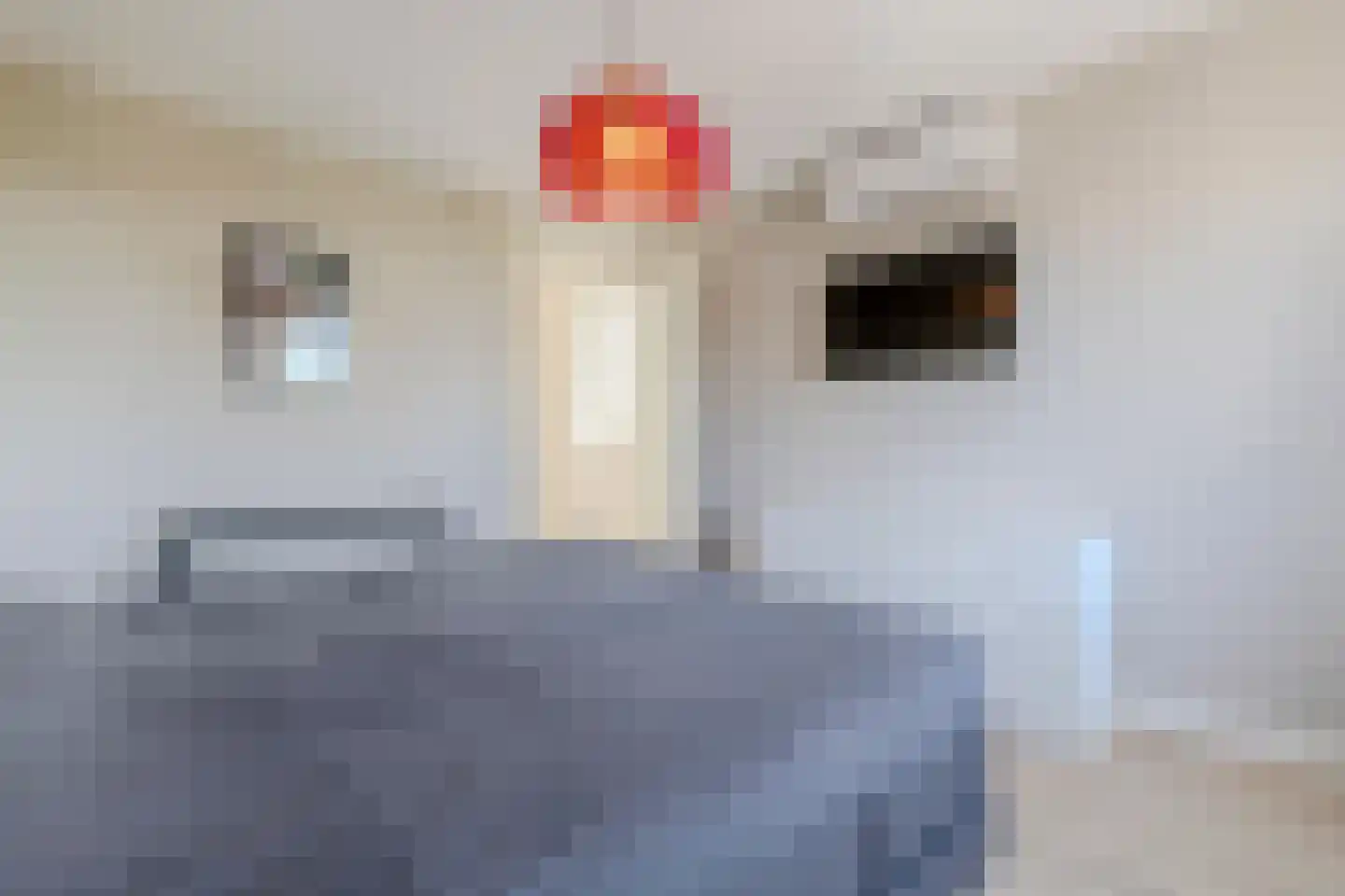 J.H. Kielastraat 27 Driebruggen thumbnail 33