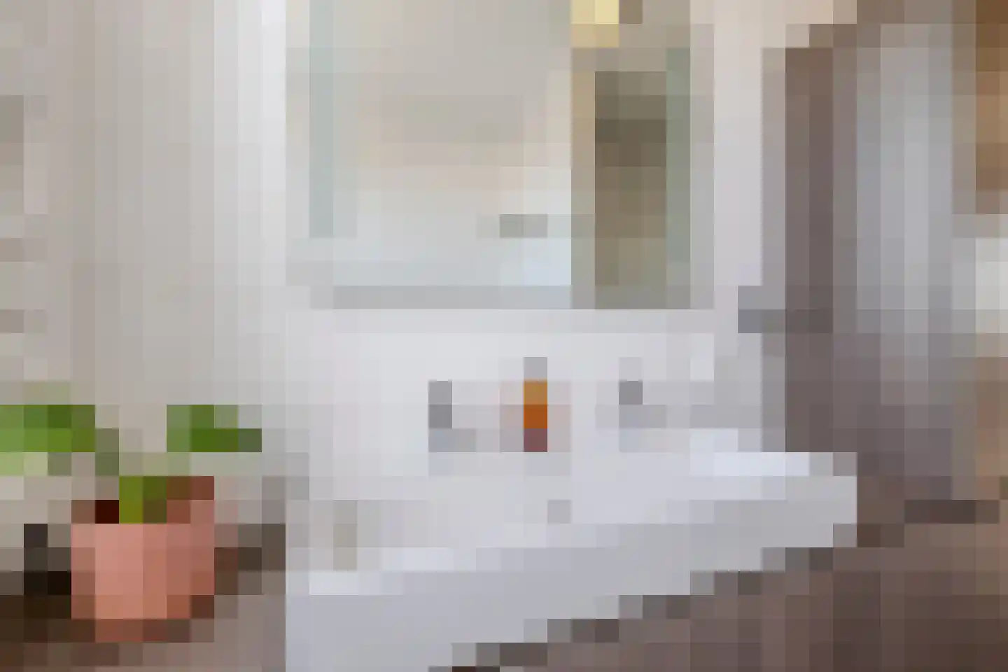 J.H. Kielastraat 27 Driebruggen thumbnail 42