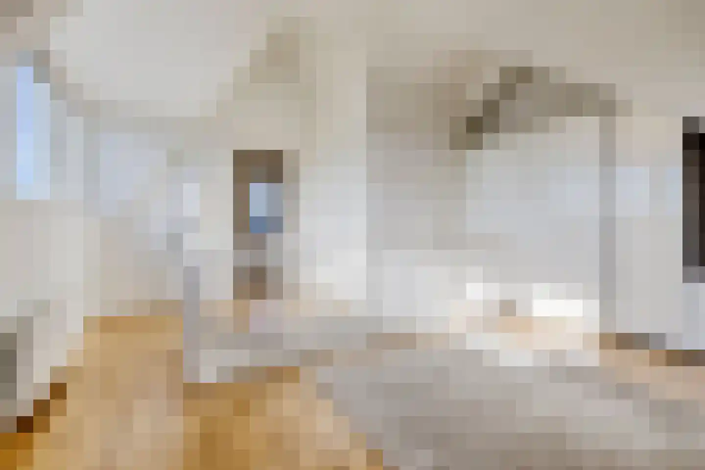 J.H. Kielastraat 27 Driebruggen thumbnail 44