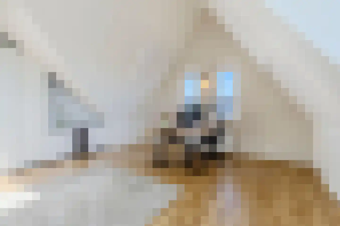 J.H. Kielastraat 27 Driebruggen thumbnail 45