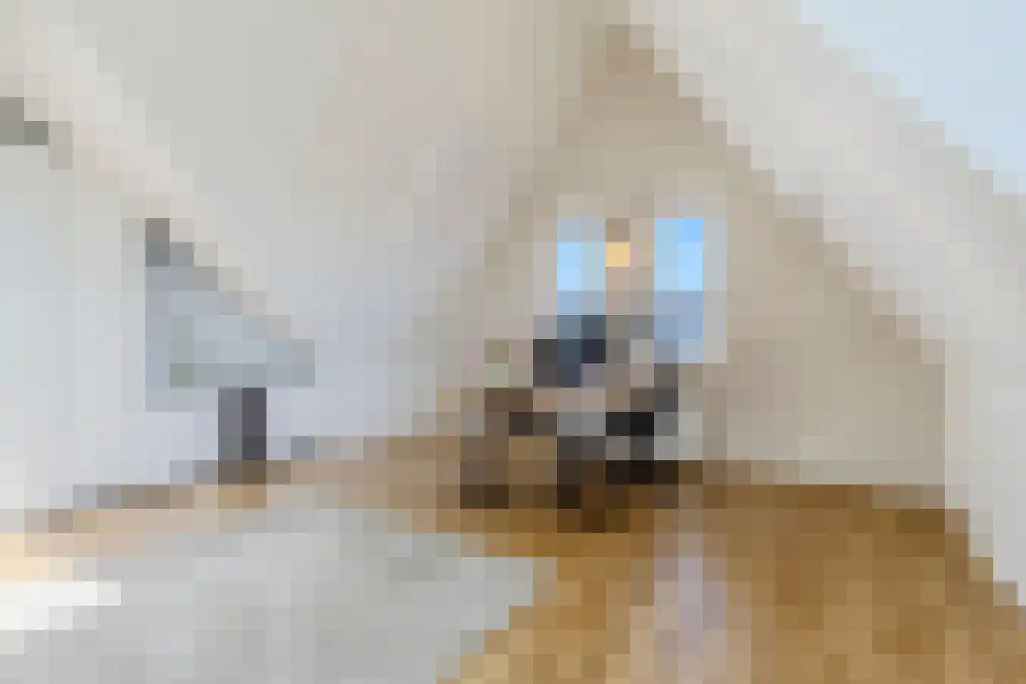 J.H. Kielastraat 27 Driebruggen thumbnail 45