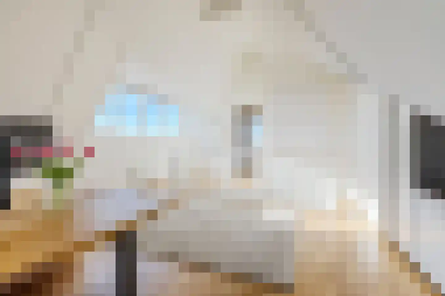 J.H. Kielastraat 27 Driebruggen thumbnail 47