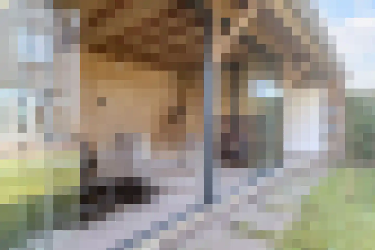 J.H. Kielastraat 27 Driebruggen thumbnail 55
