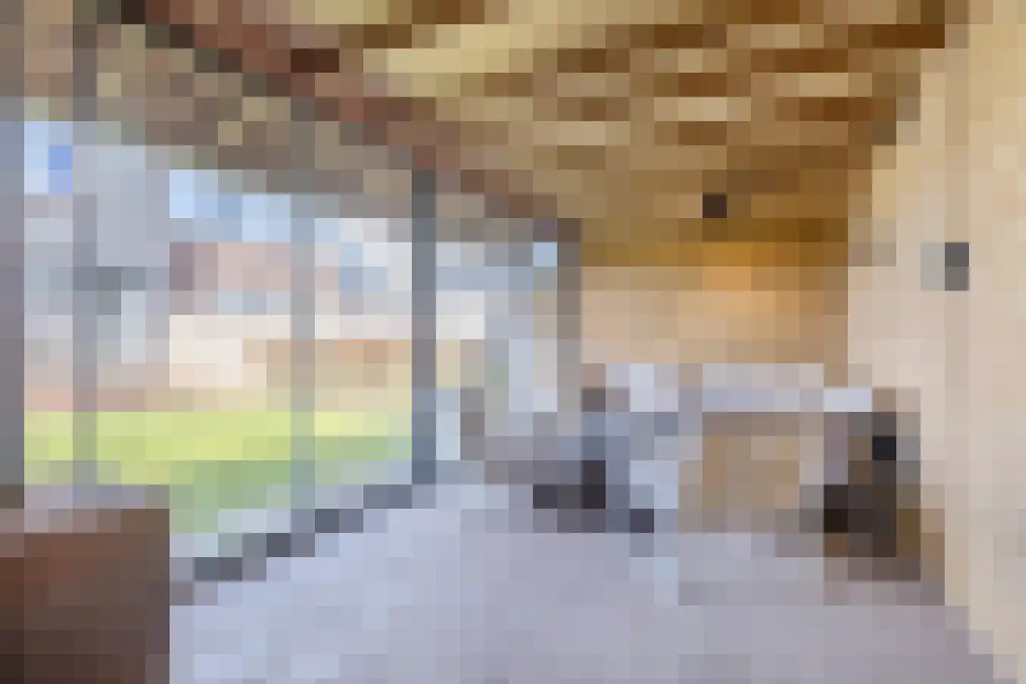 J.H. Kielastraat 27 Driebruggen thumbnail 57