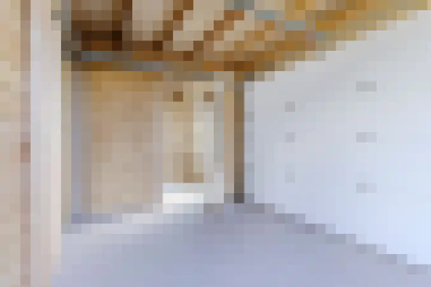 J.H. Kielastraat 27 Driebruggen thumbnail 58