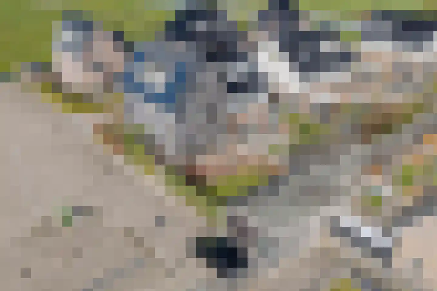 J.H. Kielastraat 27 Driebruggen thumbnail 66