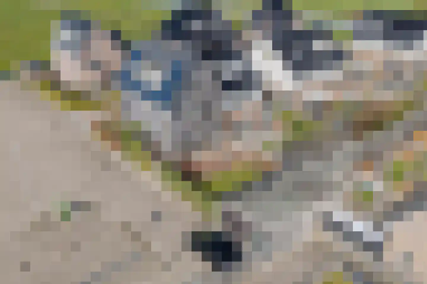 J.H. Kielastraat 27 Driebruggen thumbnail 66