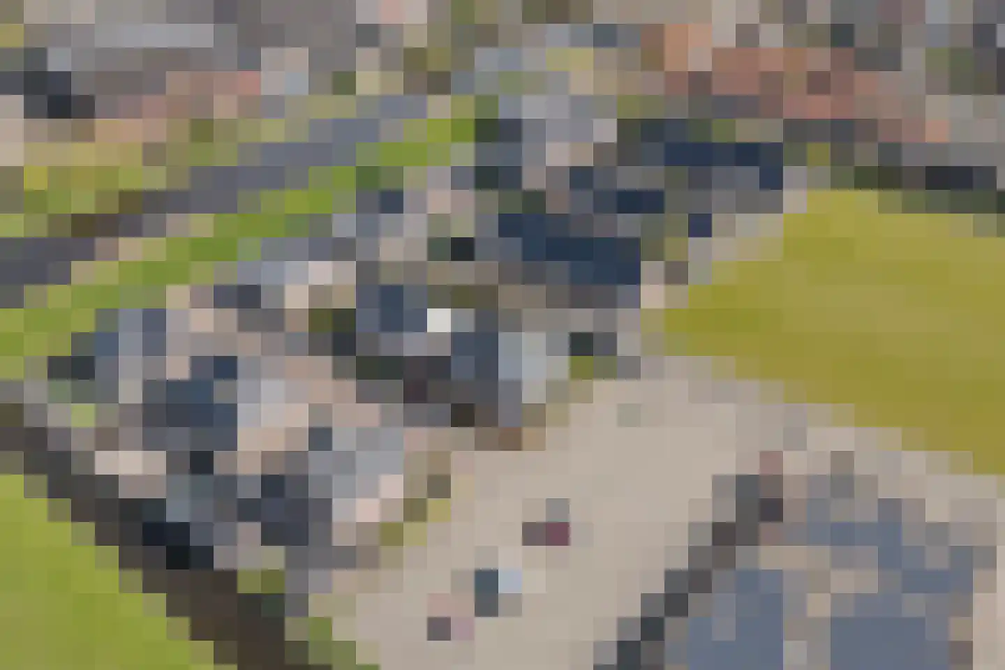J.H. Kielastraat 27 Driebruggen thumbnail 67