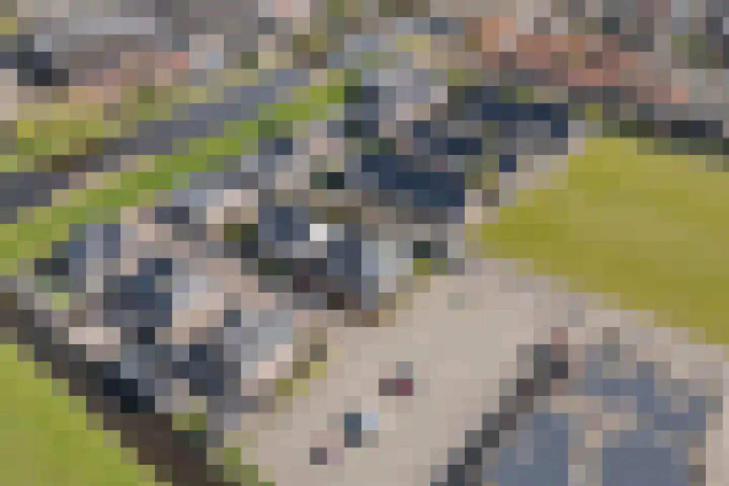 J.H. Kielastraat 27 Driebruggen thumbnail 67