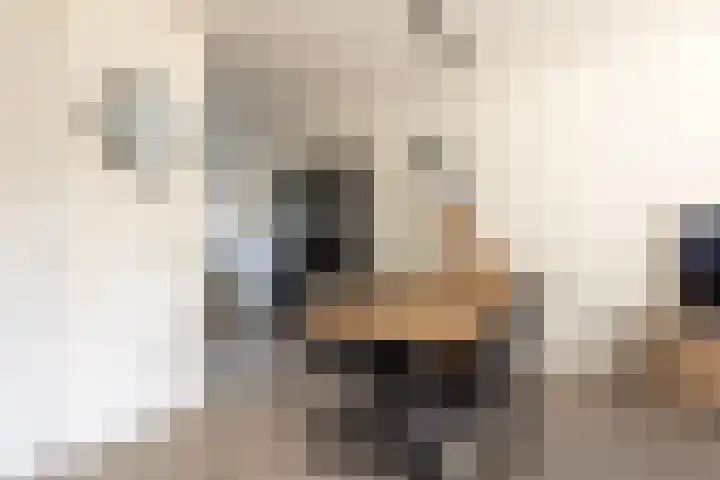 J.H. Kielastraat 9 Driebruggen thumbnail 10