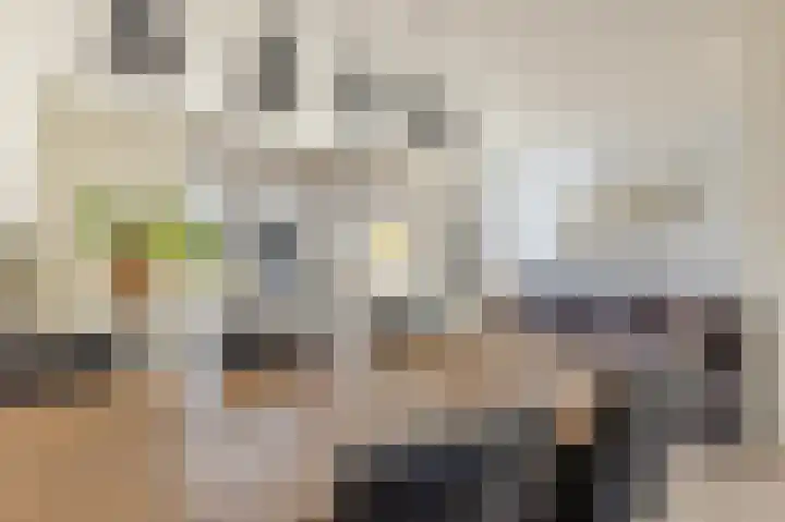 J.H. Kielastraat 9 Driebruggen thumbnail 15