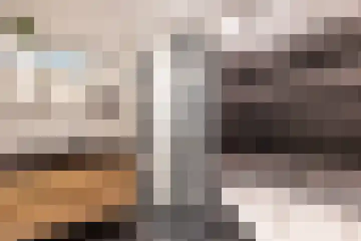 J.H. Kielastraat 9 Driebruggen thumbnail 23