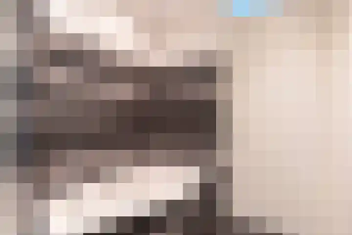 J.H. Kielastraat 9 Driebruggen thumbnail 25
