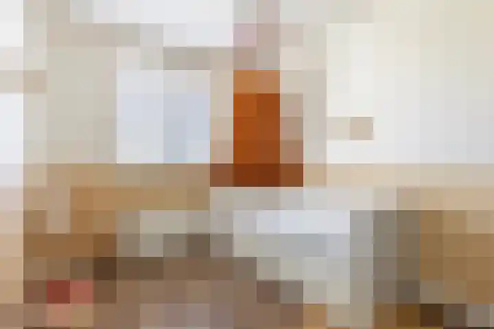 J.H. Kielastraat 9 Driebruggen thumbnail 26