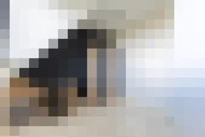 J.H. Kielastraat 9 Driebruggen thumbnail 35