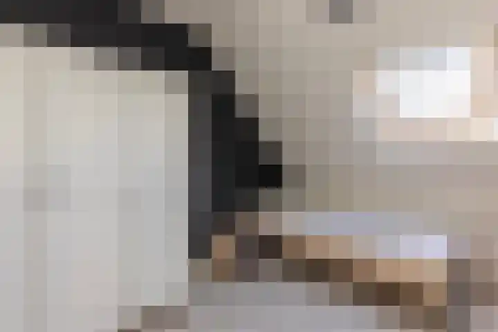 J.H. Kielastraat 9 Driebruggen thumbnail 36