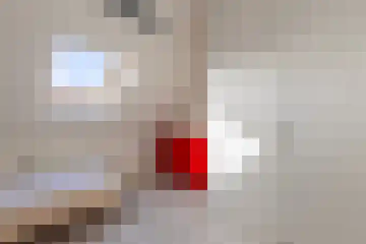 J.H. Kielastraat 9 Driebruggen thumbnail 37