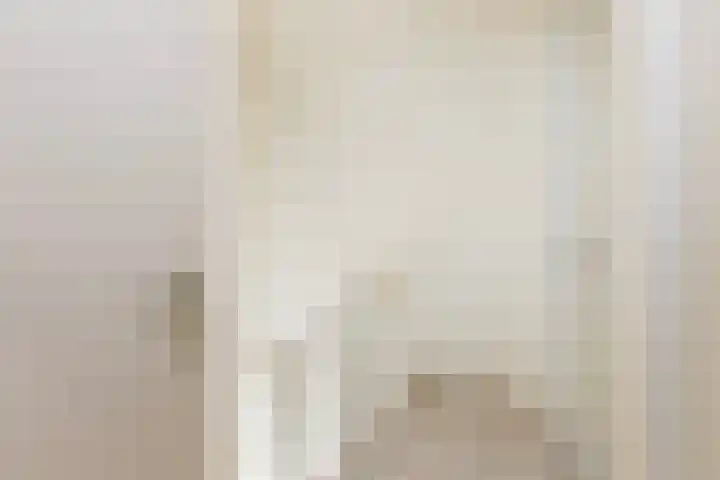 J.H. Kielastraat 9 Driebruggen thumbnail 40