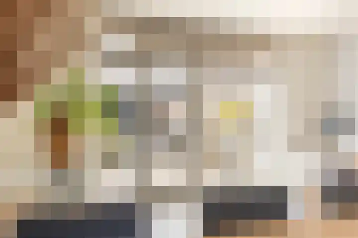 J.H. Kielastraat 9 Driebruggen thumbnail 42