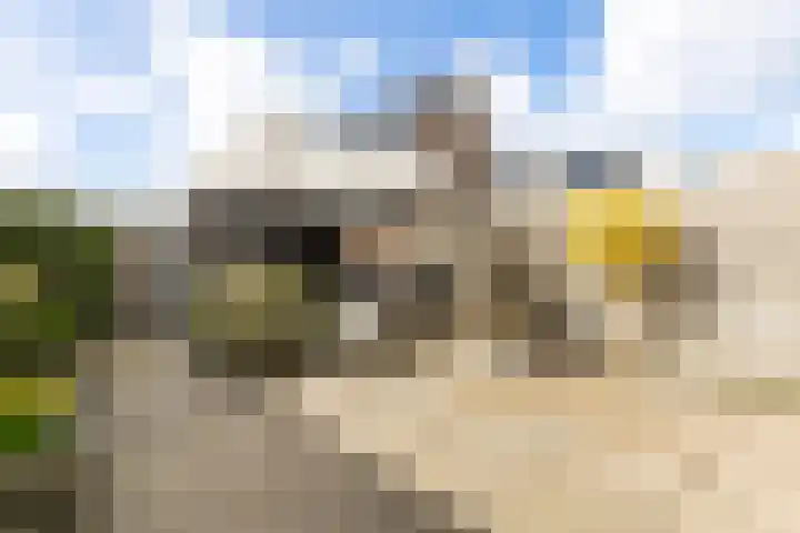 J.H. Kielastraat 9 Driebruggen thumbnail 43