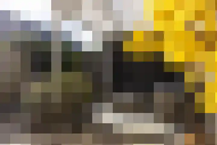 J.H. Kielastraat 9 Driebruggen thumbnail 45