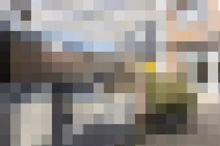 J.H. Kielastraat 9 Driebruggen thumbnail 46