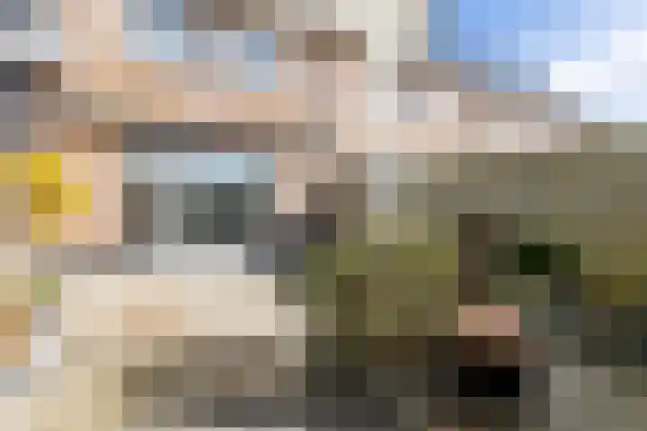 J.H. Kielastraat 9 Driebruggen thumbnail 47