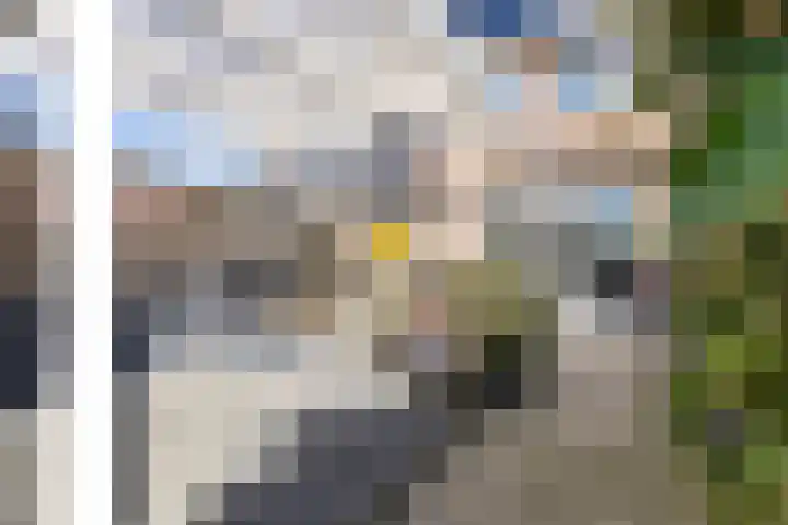 J.H. Kielastraat 9 Driebruggen thumbnail 48