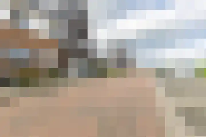 J.H. Kielastraat 9 Driebruggen thumbnail 50