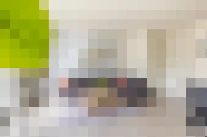J.H. Kielastraat 9 Driebruggen thumbnail 8