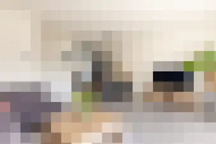 J.H. Kielastraat 9 Driebruggen thumbnail 9