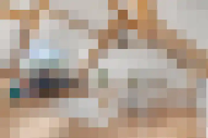 J.H. Knobboutstraat 7 Beusichem thumbnail 32