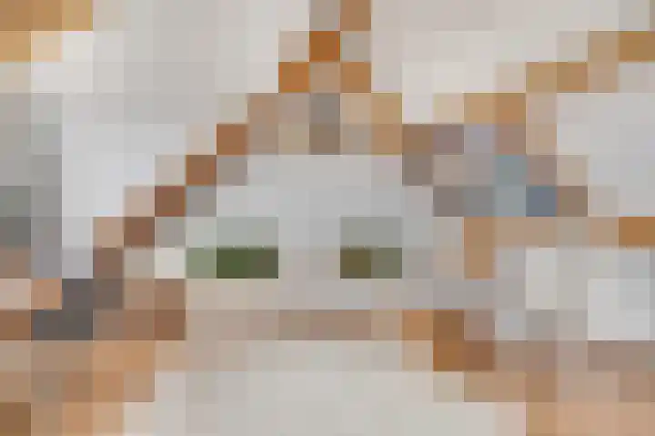 J.H. Knobboutstraat 7 Beusichem thumbnail 33