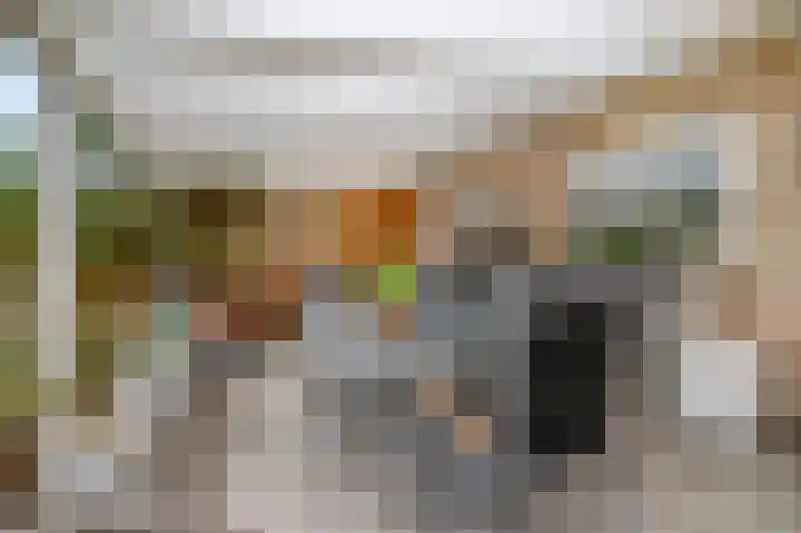 J.H. Knobboutstraat 7 Beusichem thumbnail 36