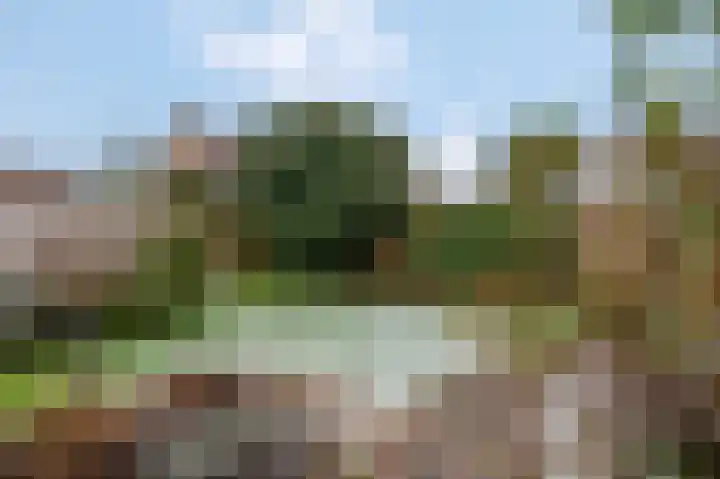 J.H. Knobboutstraat 7 Beusichem thumbnail 5