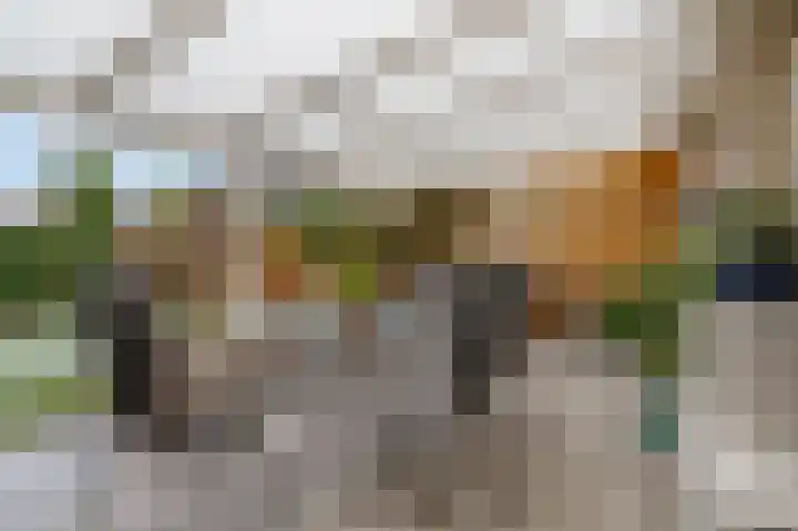J.H. Knobboutstraat 7 Beusichem thumbnail 6