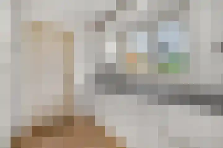 J.H. Knobboutstraat 7 Beusichem thumbnail 9