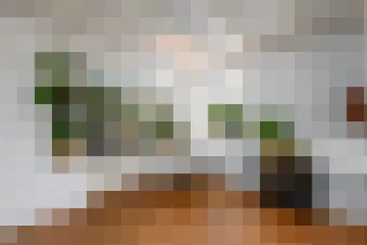 J H Kruisstraat 13 Heerenveen thumbnail 14