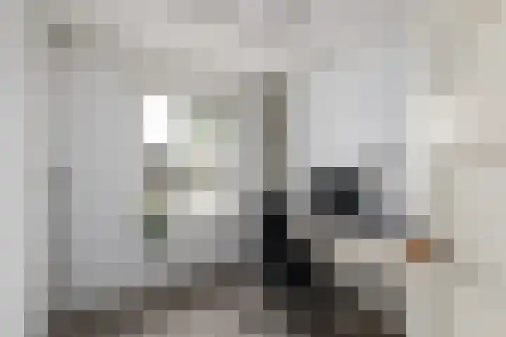 J H Kruisstraat 13 Heerenveen thumbnail 18