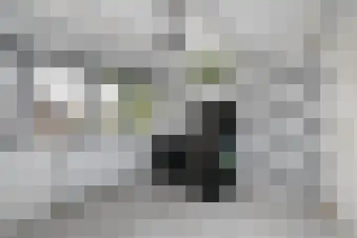 J H Kruisstraat 13 Heerenveen thumbnail 30