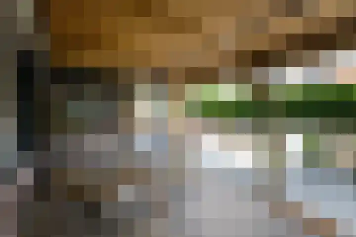 J H Kruisstraat 13 Heerenveen thumbnail 48