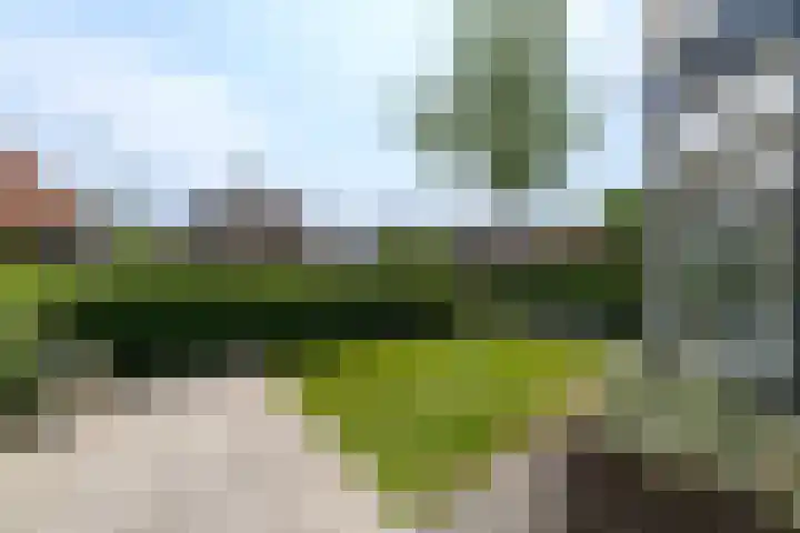 J H Kruisstraat 13 Heerenveen thumbnail 52