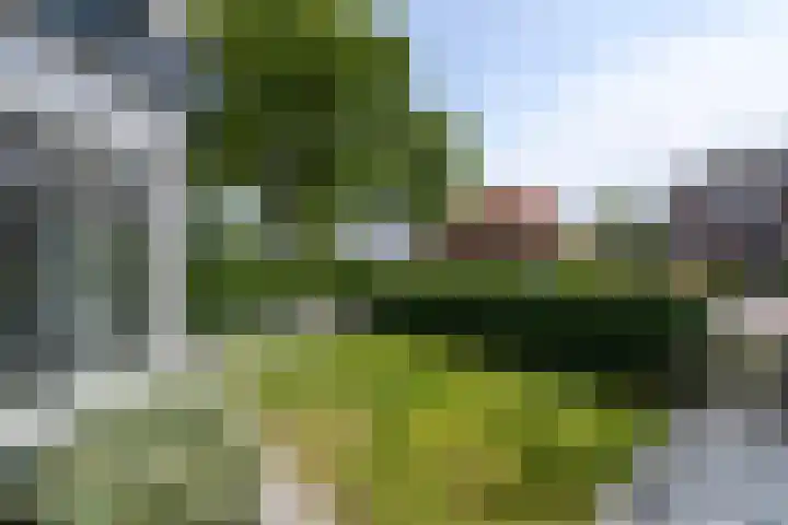 J H Kruisstraat 13 Heerenveen thumbnail 53