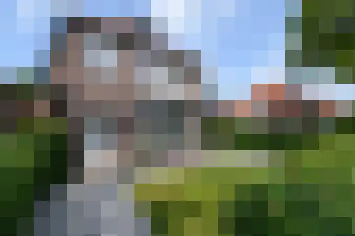 J H Kruisstraat 13 Heerenveen thumbnail 56