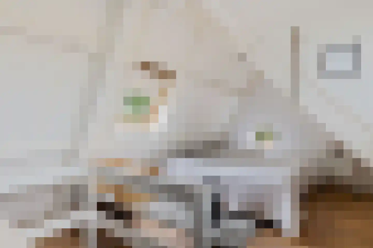 J H Kruisstraat 2 Heerenveen thumbnail 31