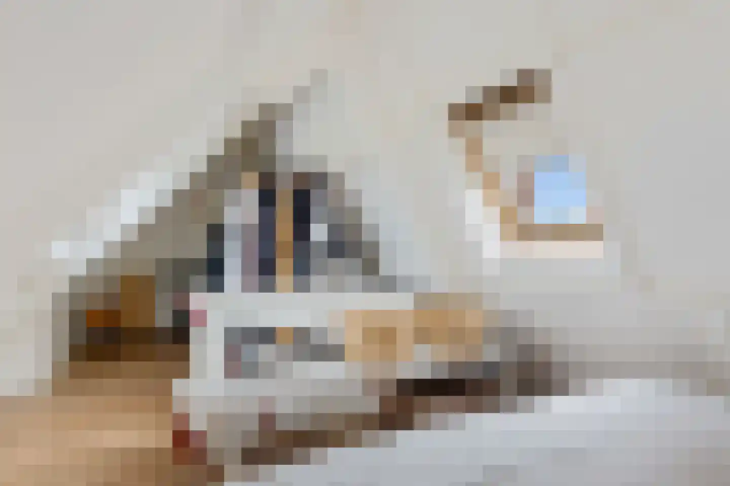 J H Kruisstraat 2 Heerenveen thumbnail 32